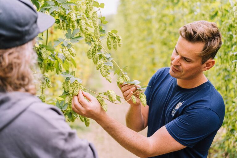 Hop Farm Tour Kent