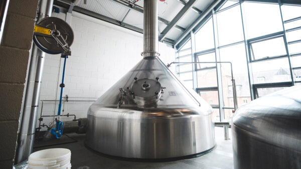 Dorset Brewery Tours: Badger Ales - Image 4