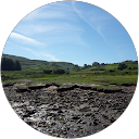 Will Burton profile picture